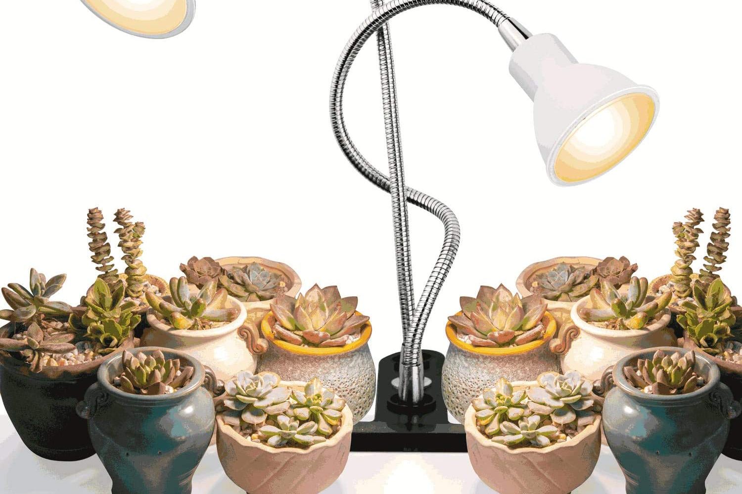La lumière de la lampe est-elle bonne pour les plantes